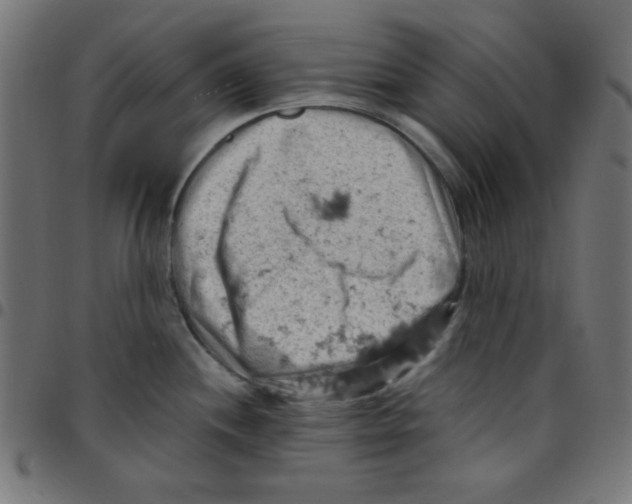 X0000096951244200803071021