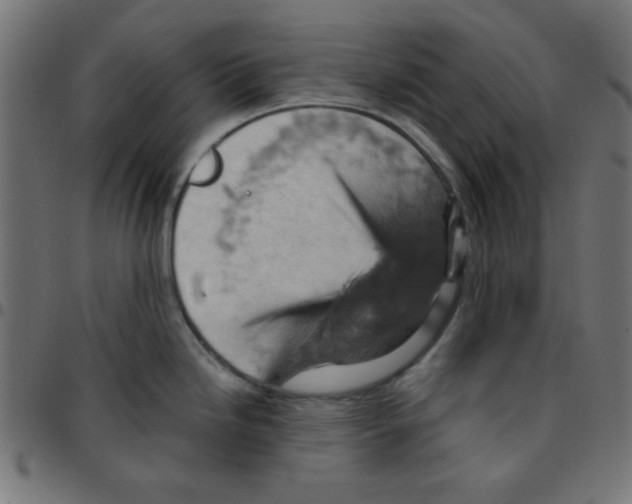 X0000096951246200803071021