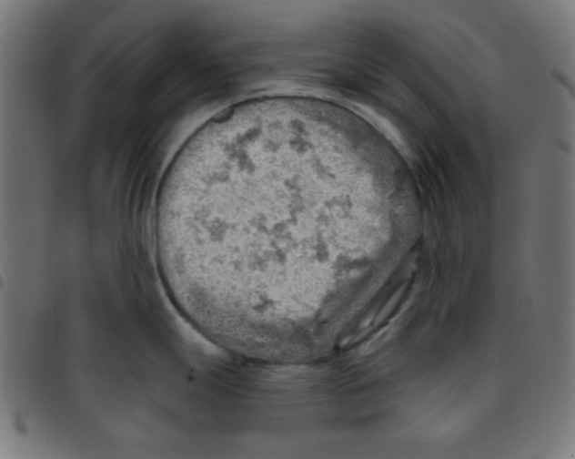 X0000096951247200803071021