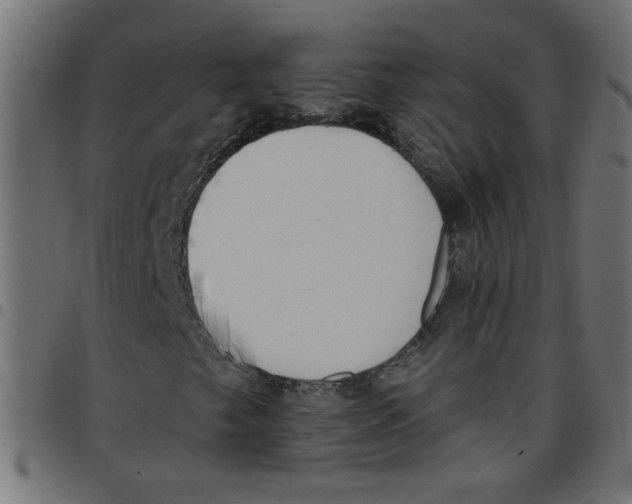 X0000096951249200803071020