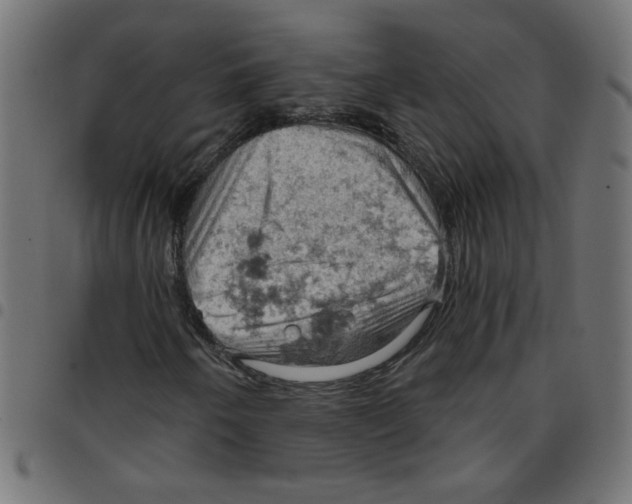 X0000096951250200803071020
