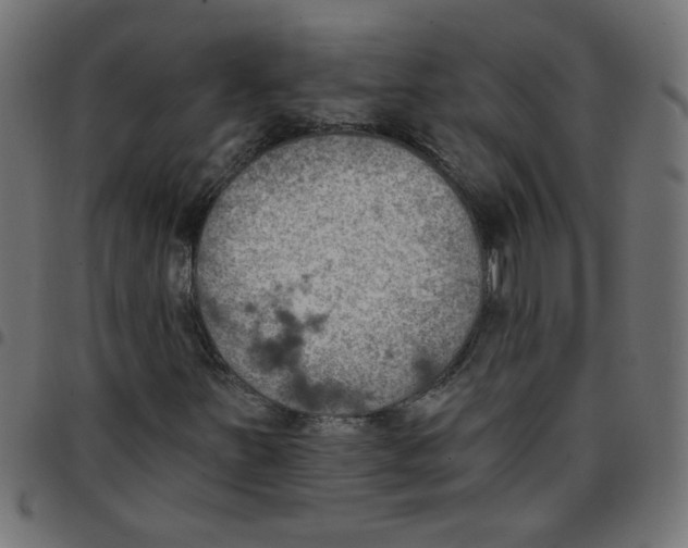 X0000096951251200803071020