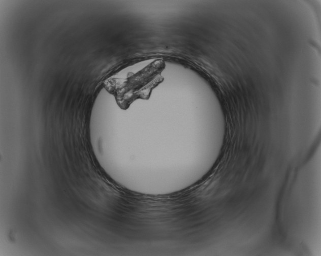 X0000096951252200803071020