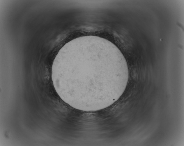 X0000096951253200803071020