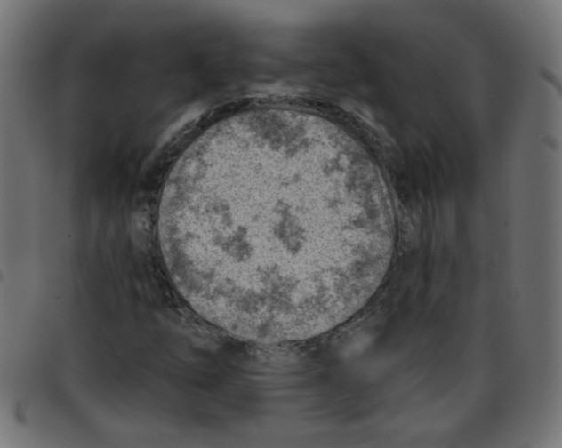 X0000096951254200803071020
