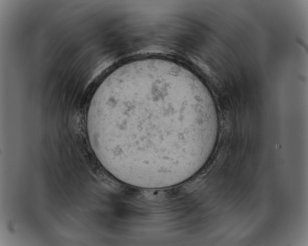 X0000096951258200803071020