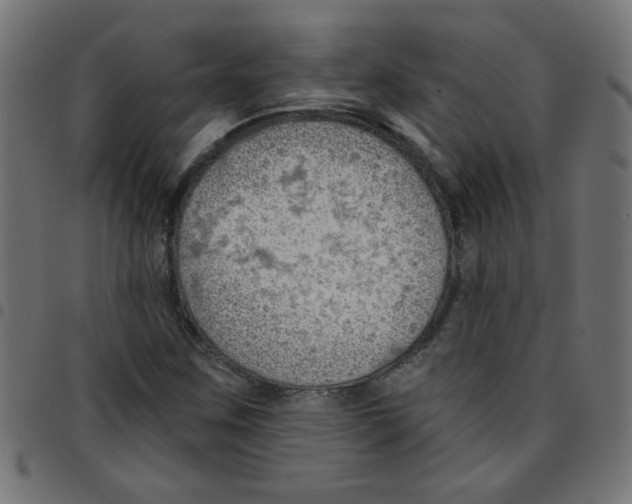 X0000096951259200803071020