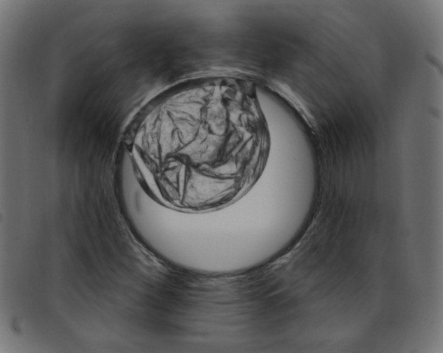 X0000096951260200803071020