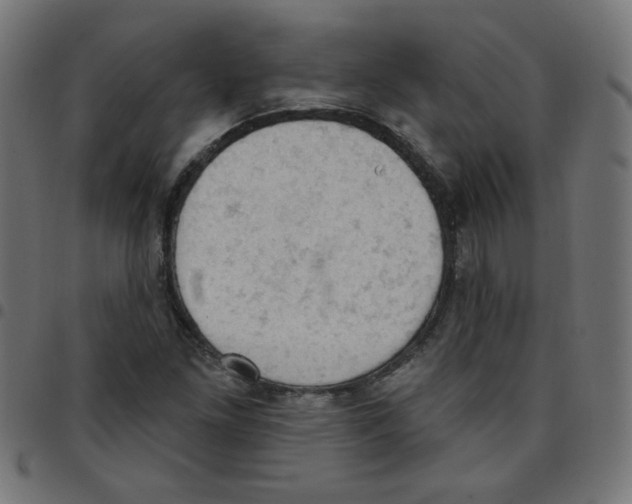 X0000096951261200803071020