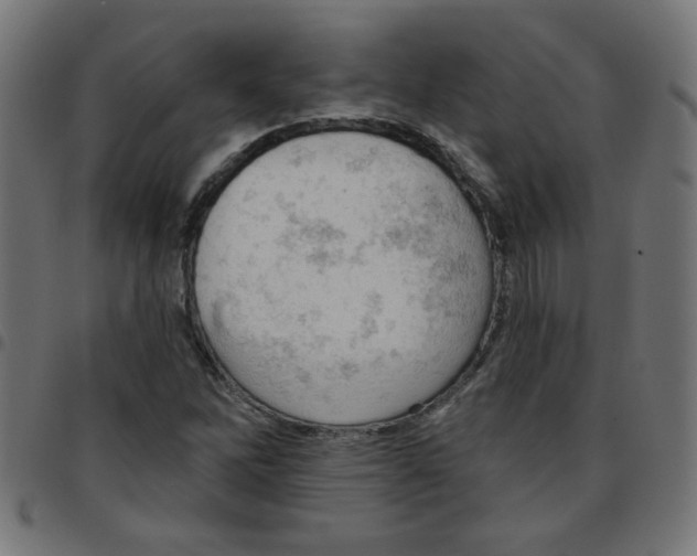 X0000096951262200803071020