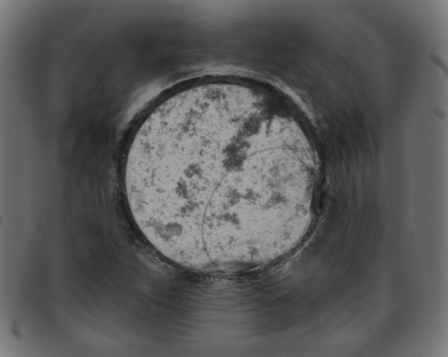 X0000096951263200803071020