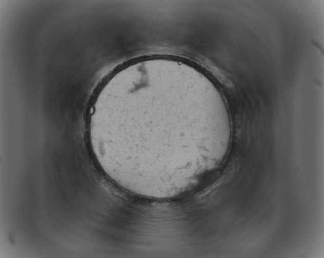 X0000096951264200803071020