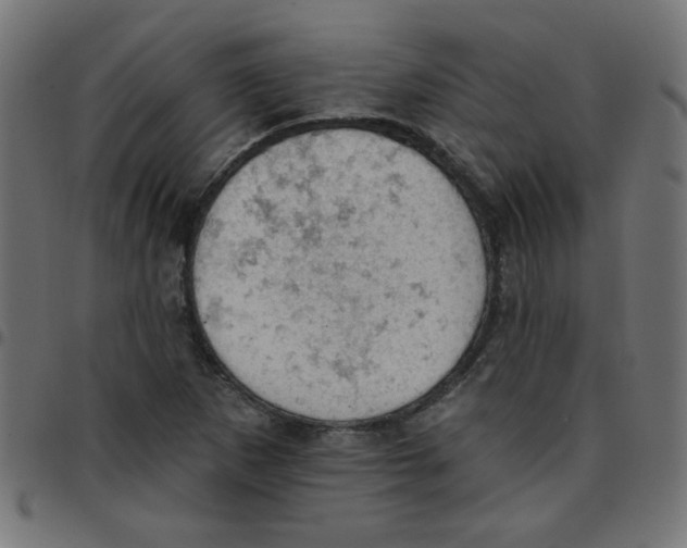 X0000096951265200803071020
