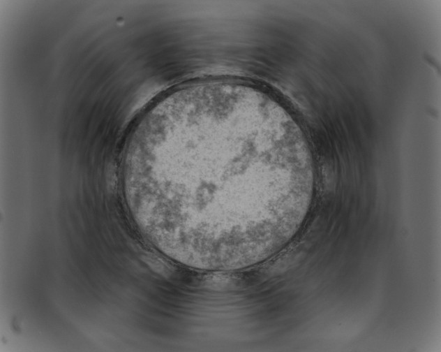 X0000096951266200803071020