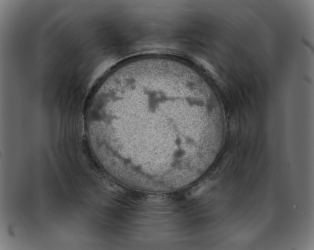 X0000096951267200803071020