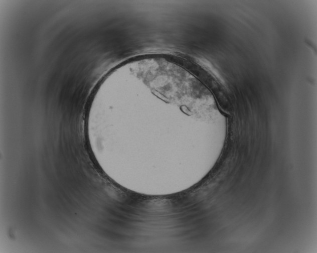 X0000096951268200803071020