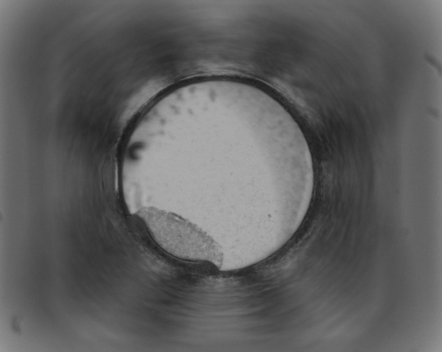 X0000096951269200803071020