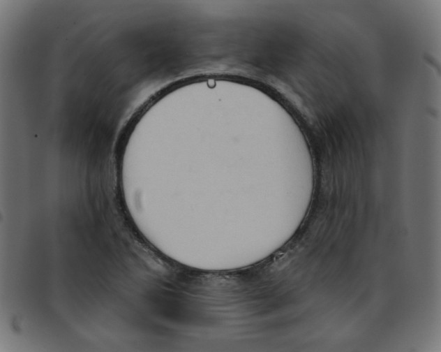 X0000096951270200803071020