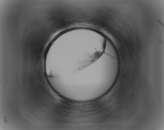 X0000096951272200803071020