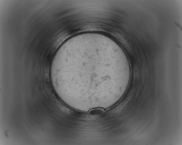 X0000096951273200803071020