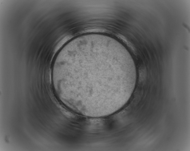 X0000096951274200803071020