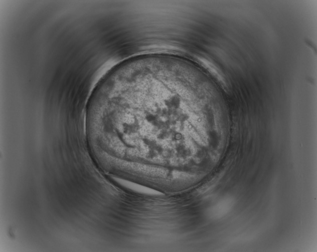 X0000096951275200803071020