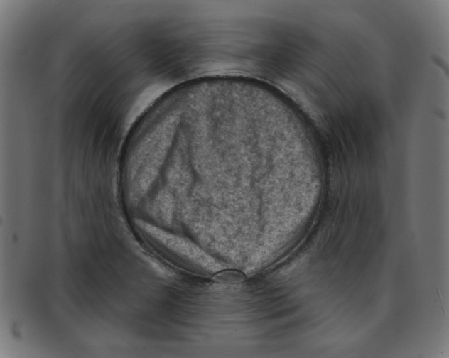 X0000096951277200803071020