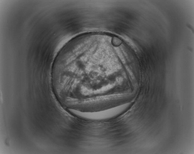 X0000096951279200803071020