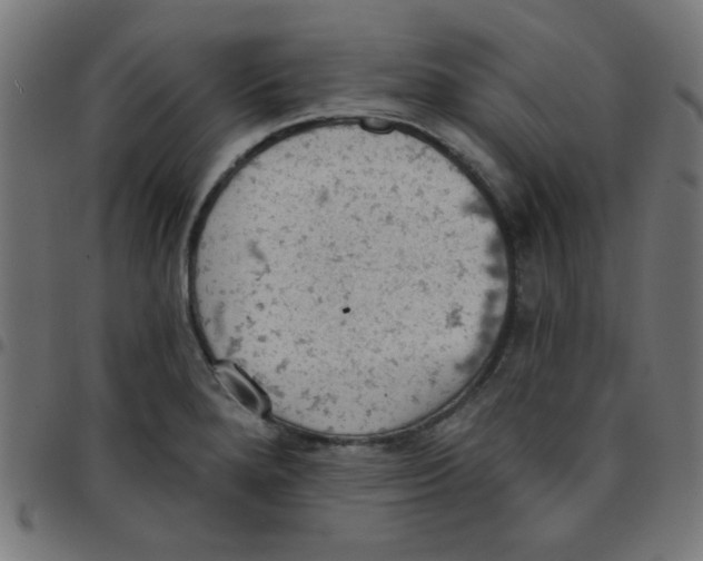 X0000096951280200803071020
