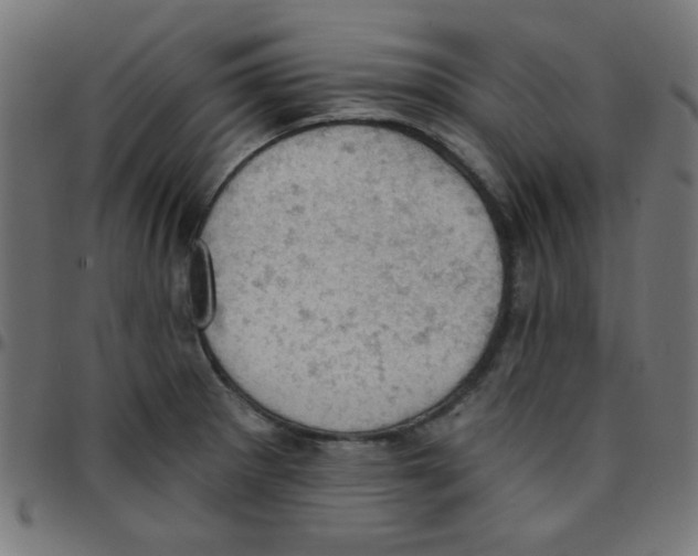 X0000096951281200803071020
