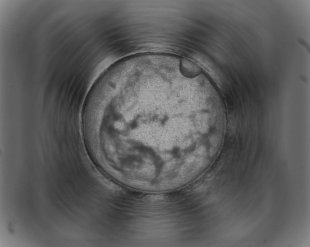 X0000096951283200803071020