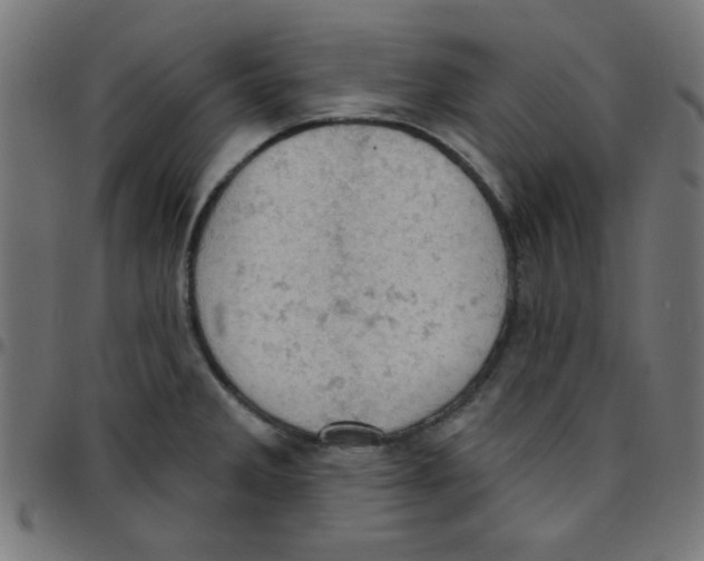 X0000096951285200803071020