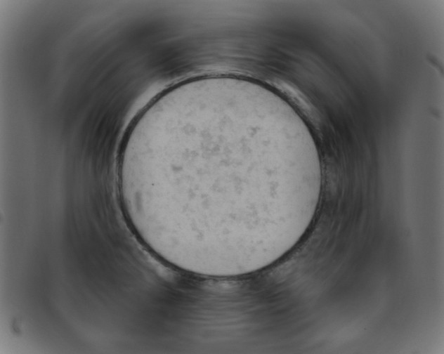 X0000096951286200803071020