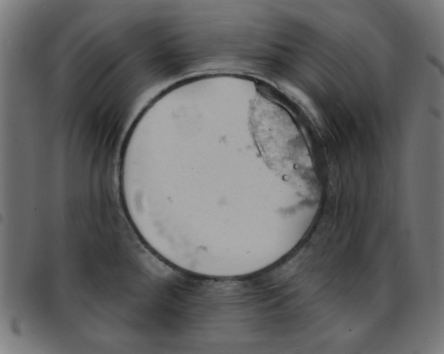 X0000096951288200803071020