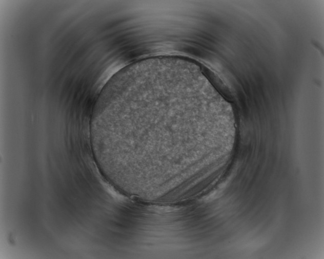X0000096951289200803071020