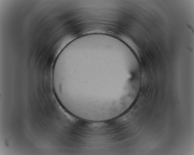 X0000096951290200803071020