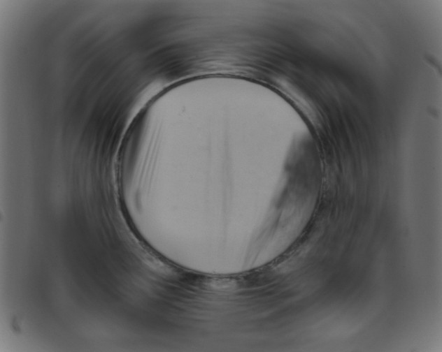 X0000096951291200803071020