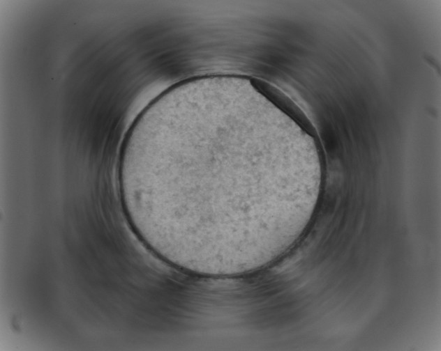 X0000096951293200803071020