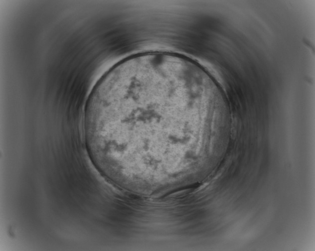 X0000096951295200803071020