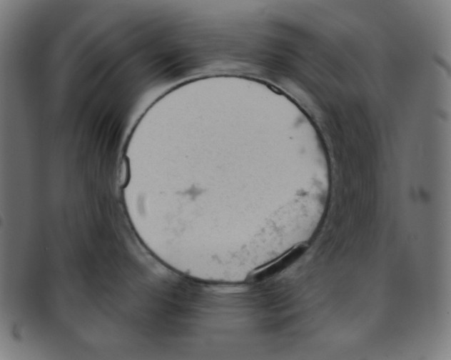 X0000096951296200803071020