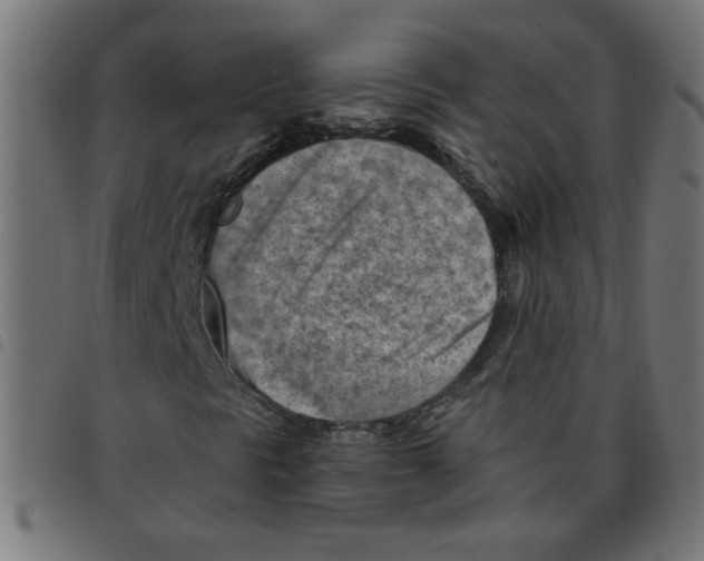 X0000096951297200803071019