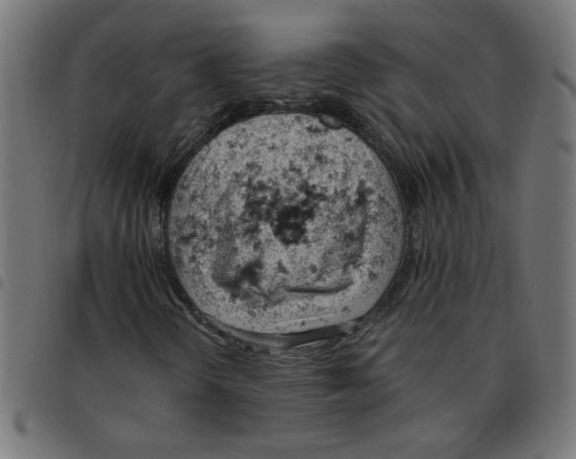 X0000096951298200803071019