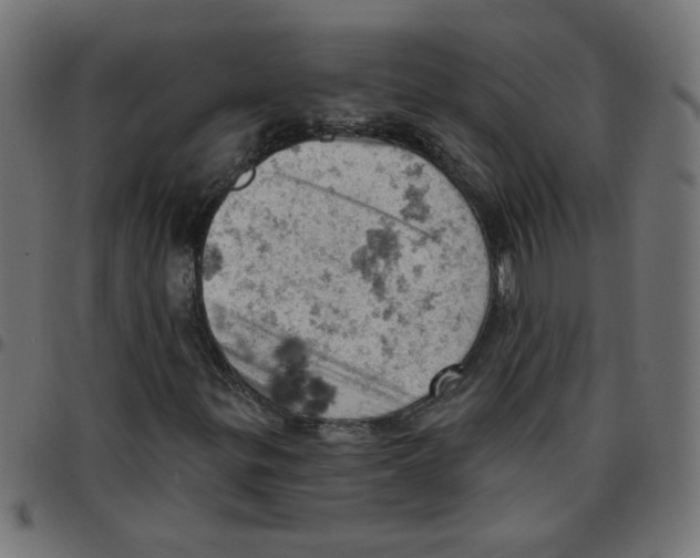 X0000096951299200803071019