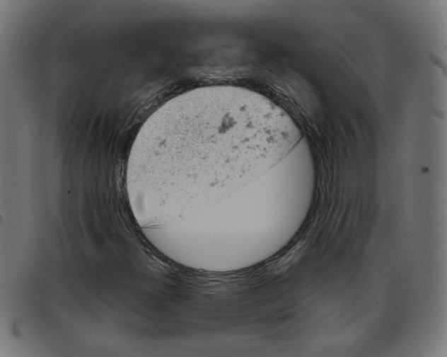 X0000096951300200803071019