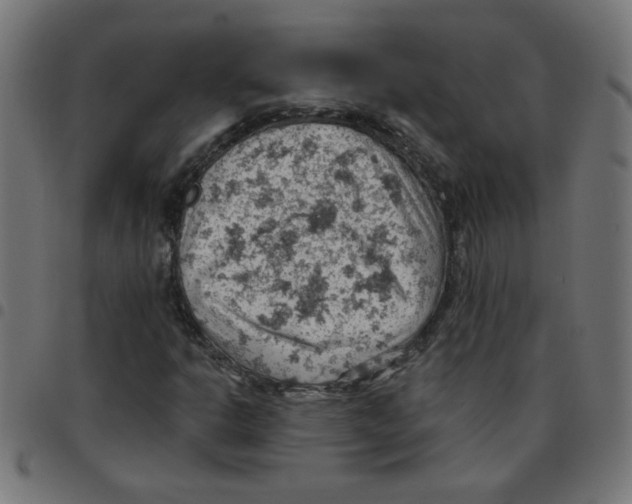 X0000096951302200803071019