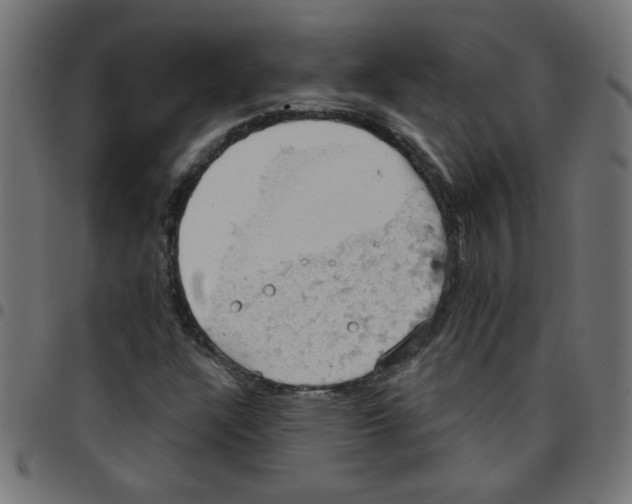 X0000096951304200803071019