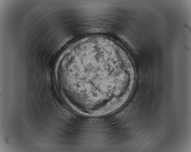 X0000096951305200803071019