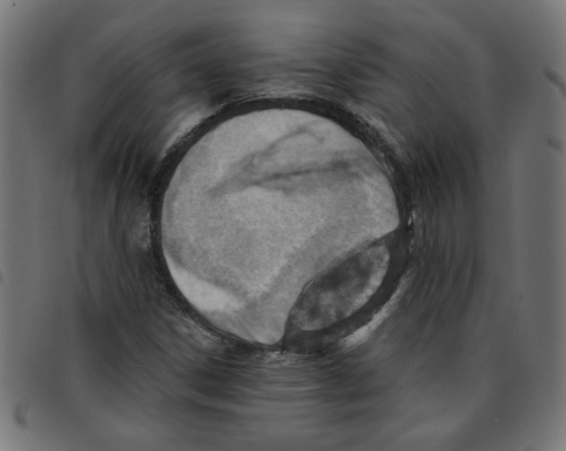 X0000096951306200803071019