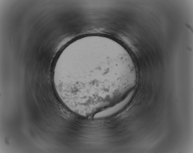 X0000096951308200803071019