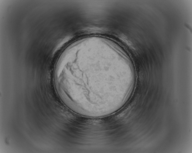 X0000096951309200803071019